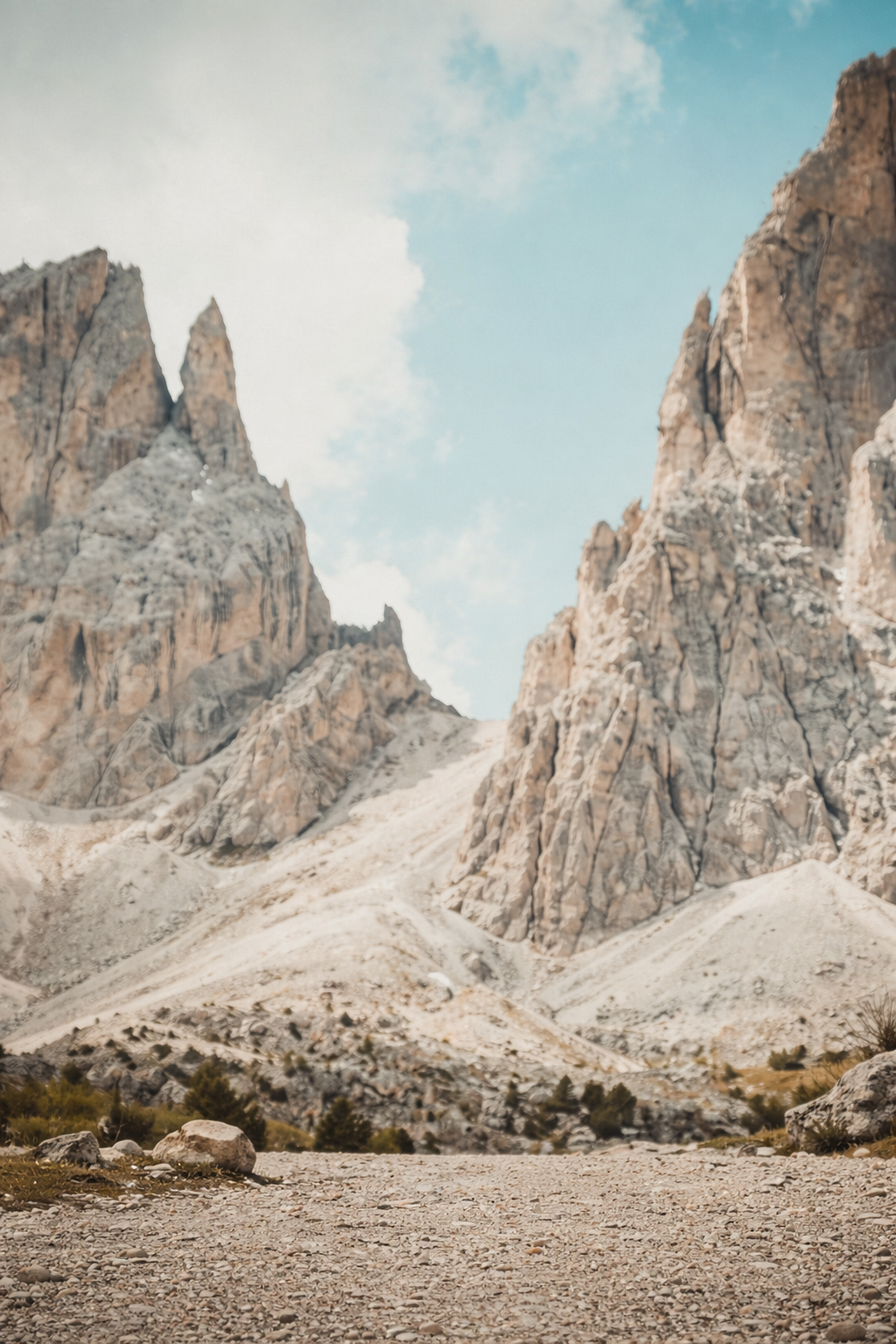 Local Moroccan guide